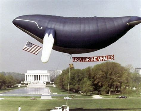 save the whales wiki|whale attacks from the 1970s.